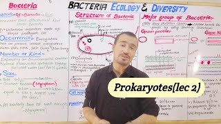 BacteriaEcologyDiversityStructure amp Major groups of Bacteria Gram Positive and gram negative lec [upl. by Napier477]