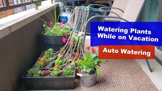 How to Water Plants while on Vacation  Simple Automatic Watering [upl. by Kataway]