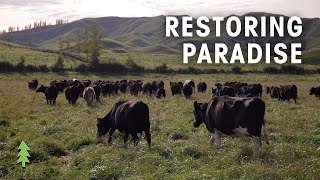 Farming Sustainably with Regenerative Agriculture  Restoring Paradise [upl. by Boy]