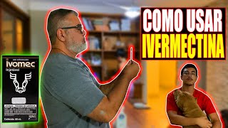 COMO USAR IVERMECTINA EM CÃES  PARTE 1 [upl. by Cohleen661]