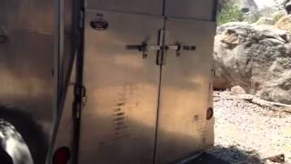 Aluminum horse trailer  Westline [upl. by Heida]