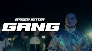 PECO ISTOK  GANG Official Video 2021 [upl. by Akemrej]