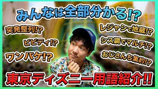 【初心者向け！】2024年最新の東京ディズニーリゾートでよく使われる用語をまとめて紹介！ [upl. by Faden]