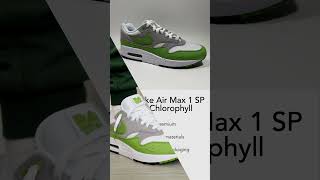 2024 Nike Air Max 1 SP Patta Chlorophyll kixxstar [upl. by Amethyst666]