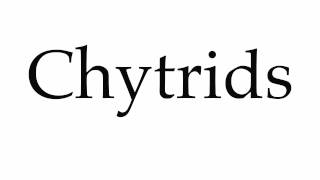 How to Pronounce Chytrids [upl. by Ailaza801]