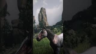 RDO • Red Roan Breton Horse • Red Dead Redemption 2 Online [upl. by Quigley]