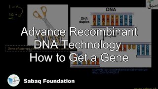 Advance Recombinant DNA Technology How to Get a Gene Biology Lecture  Sabaqpk [upl. by Erinna]