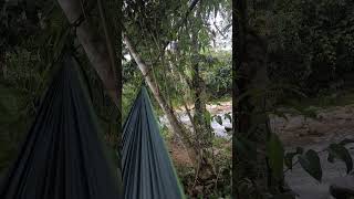 hammocklife hammocks soundofnature nature naturelovers [upl. by Aicilec496]