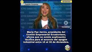 ⚠️ Comité Empresarial Ecuatoriano afirma q no existe explicación técnica para el apagón industrial [upl. by Down]