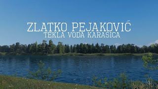 Zlatko Pejaković  Tekla voda Karašica Official lyric video [upl. by Shargel]