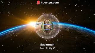 Diviners  Savannah Acoustic feat Philly K NCS Release [upl. by Anwahsat]