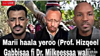 Dr Milkeessaa Miidhagaa FI Pro Iskeel Gabbisaa Iccitti Salaaleetti Isaan dhaqabe FANNOO [upl. by Ardnod]