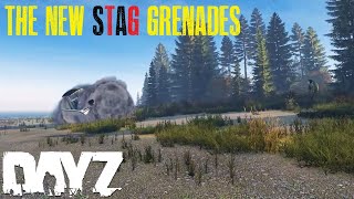 STAG Research Z42 Grenades Unleash These On Your WORST ENEMY DayZ [upl. by Junko]