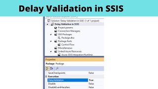 79 Delay Validation in SSIS [upl. by Coridon]