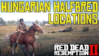 Hungarian Half Breds  Red Dead Redemption 2 [upl. by Charbonneau]