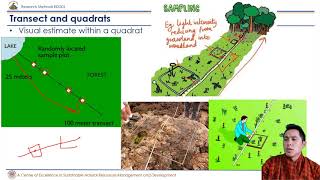 Sampling Units in Ecology Transect and Quadrats [upl. by Ivatts]