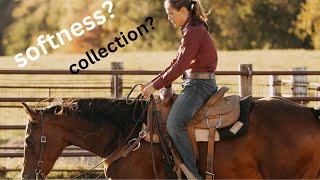 How to get your horse SOFT And COLLECTED part 2 [upl. by Nerdna]