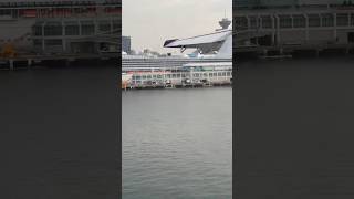 AMAZING Seaplane Landing at Vancouver Harbour 🤩 harbourair vancouverharbour shorts subscribe [upl. by Ylenaj]