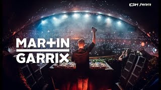 Martin Garrix Drops Only  Tomorrowland Belgium 2016 [upl. by Paucker322]