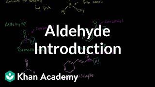 Aldehyde introduction  Aldehydes and ketones  Organic chemistry  Khan Academy [upl. by Areemas]