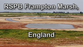 RSPB Frampton Marsh England [upl. by Jaye806]