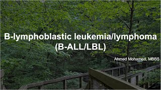 Understanding BLymphoblastic LeukemiaLymphoma Comprehensive Guide [upl. by Tierell]