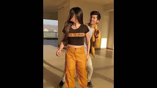 Vaishnavi Rao and Abhishek Nigam tik tok video ❤️❤️ [upl. by Everard70]