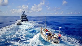 LIVE Arrival in Panama with the RESCUED SAILORS [upl. by Silloh]