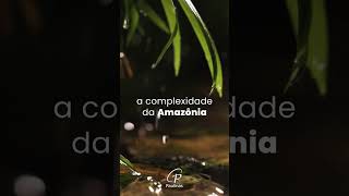 A Amazônia e o futuro da humanidade [upl. by Ainiger]