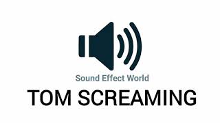 Tom SCREAMING Sound Effect Meme [upl. by Illoh]