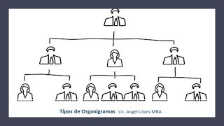 Tipos de organigramas [upl. by Ennaitak613]