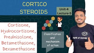 Corticosteroids  Cortisone  Hydrocortisone  Prednisolone  Betamethasone  Dexamethasone [upl. by Annaiv]