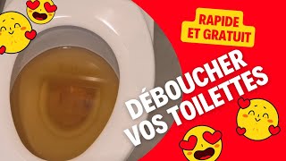 Comment déboucher les toilettes WC en 2 minutes [upl. by Anada]