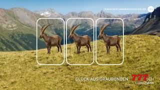 Glück aus Graubünden  Steinbock  Casino777 [upl. by Akeihsal]