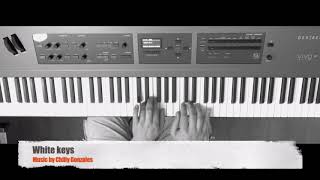 Chilly Gonzales White keys [upl. by Eerazed482]