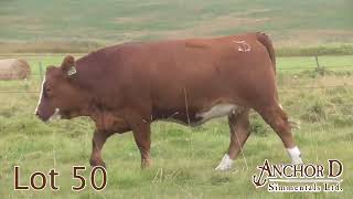 Lot 50 Anchor D ADR Kimber 423K [upl. by Thompson]