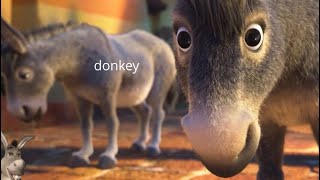 Encanto but only when the donkeys are on screen [upl. by Zorah]