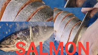 CLEANING AND CUTTING BIG AND FRESH NORWAYGIAN SALMON FISH SKILLS ASMR TRENDING [upl. by Golub]