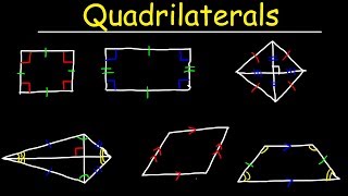 Quadrilaterals  Geometry [upl. by Laumas719]