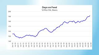 2024 Livestock Market Update [upl. by Charo]