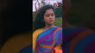 Olachangaali  Kinnarippuzhayoram  KS Chithra  M G Sreekumar  Sreenivasan SongOfTheDay [upl. by Adnaluoy]