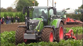 Beet Demo Day at Cross Agri Engineering featuring Agrifac amp Armer Salmon Beet Harvester [upl. by Eelyah]