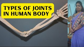 Types of Joints in the Human Body Classification Functions and Examples [upl. by Carroll476]