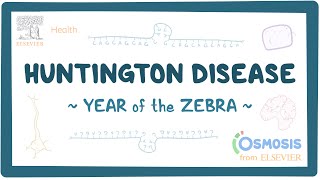 Huntington disease Year of the Zebra [upl. by Ebocaj855]