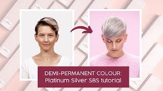 DemiPermanent Colour SBS Tutorial I Platinum Silver I we COLOUR for you [upl. by Ardnasella]