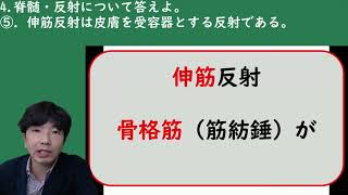 脊髄反射【解剖生理学・形態機能学 脊髄神経・伝導路】 [upl. by Anialad]