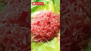 Tasty Jambura 🥵 Pomelo Recipe 😋 jambura recipe shorts [upl. by Nymzaj]