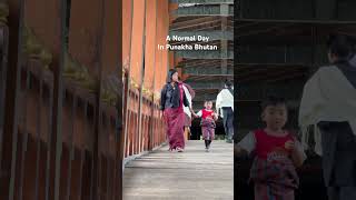 A normal day in Punakha Bhutan travel bhutan bhutantourism discoverbhutan nature tourism [upl. by Naujat]