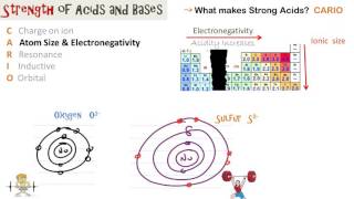 Relative Strength of Acids and Bases [upl. by Ahsehyt]