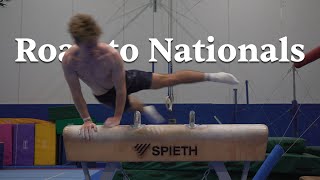 Back to Basics Pommel Pbars Highbar [upl. by Karsten715]